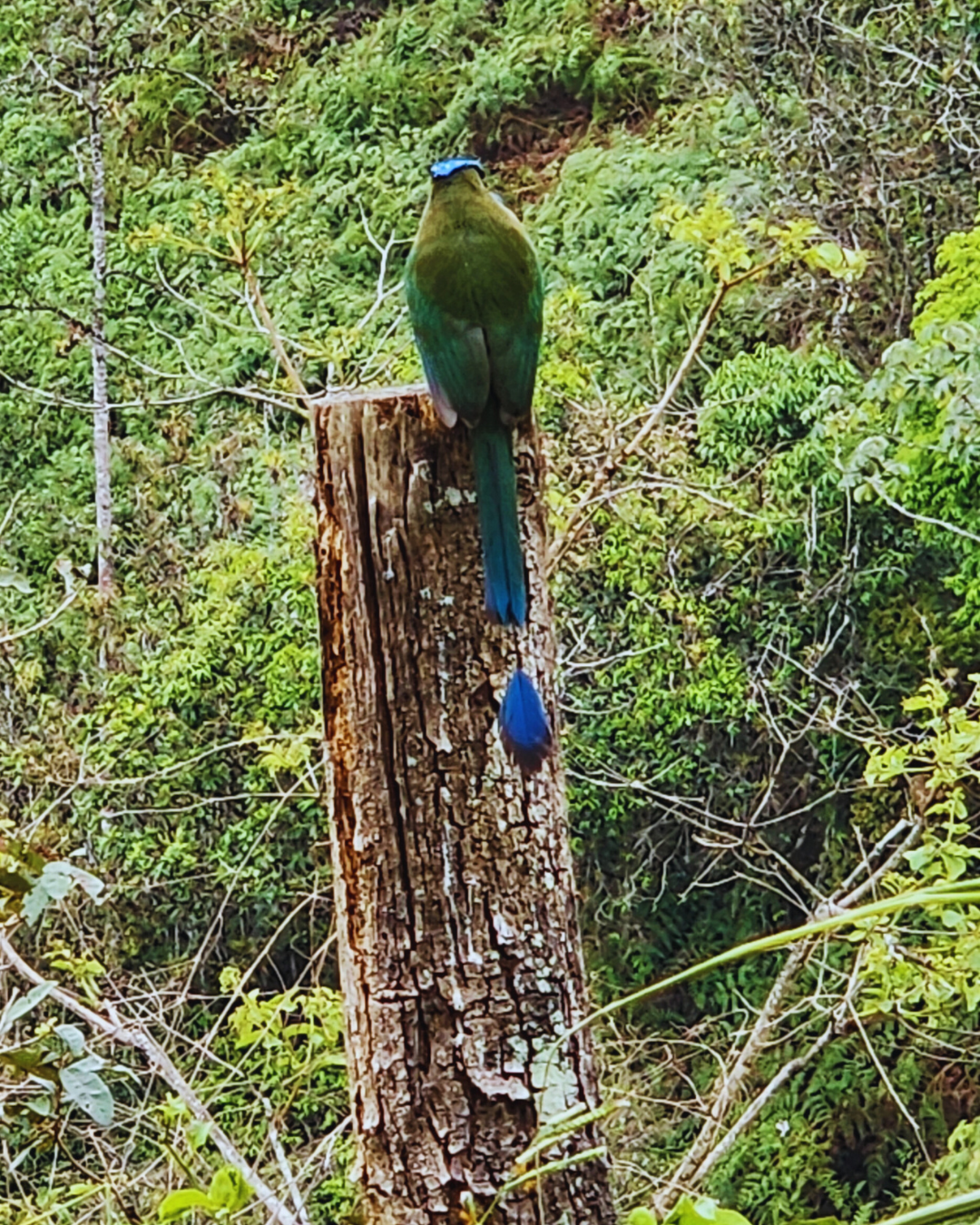 Biodiversidad